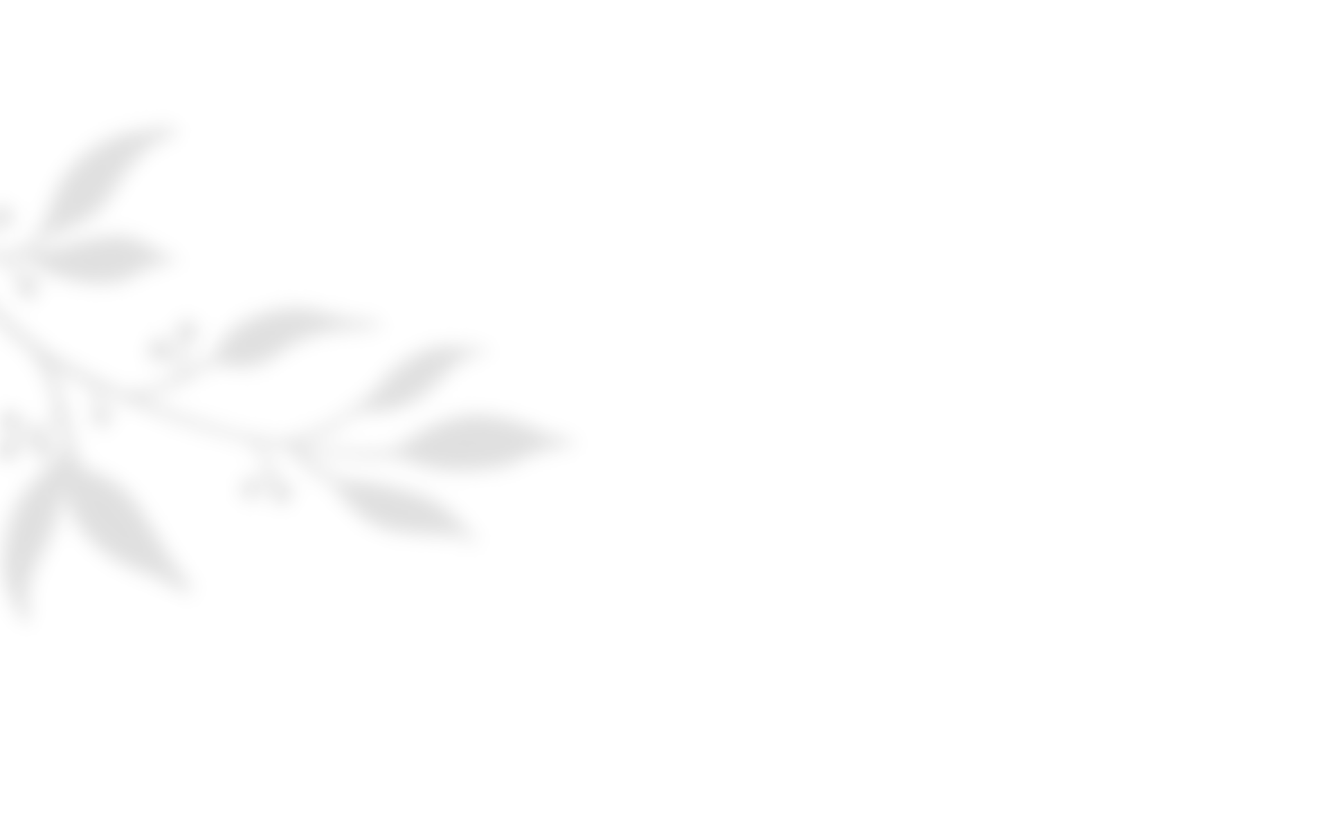 bt_bb_section_bottom_section_coverage_image