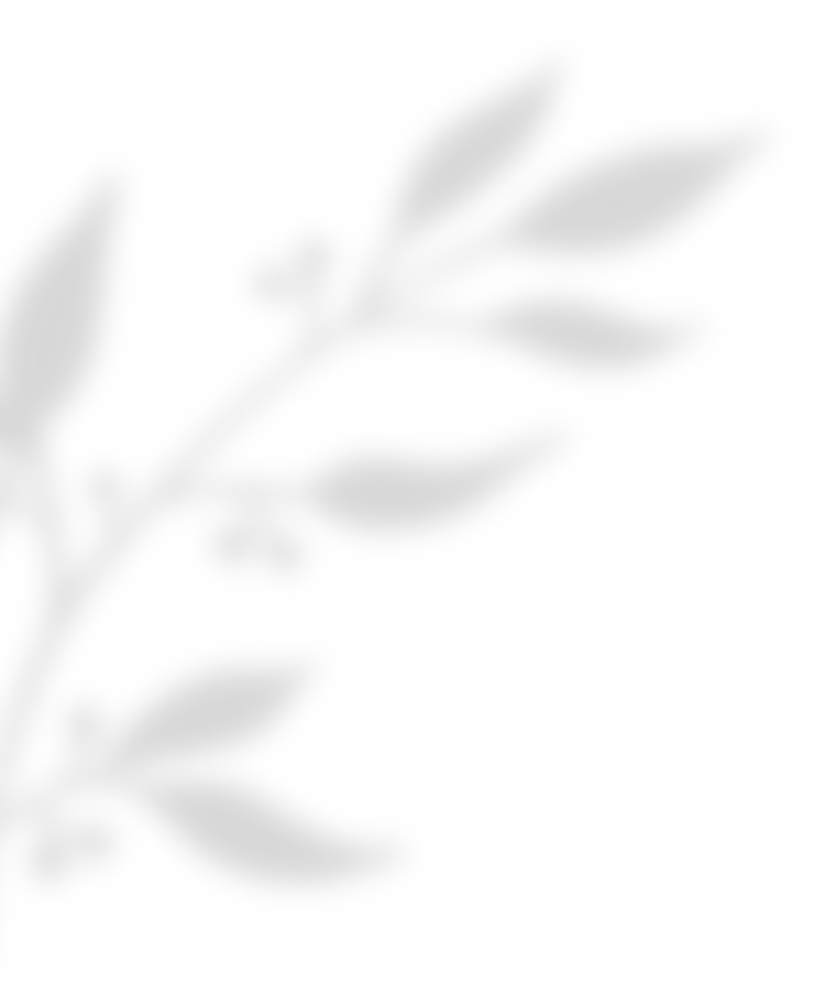 bt_bb_section_top_section_coverage_image